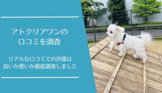 アトクリアワンの悪い口コミから良い評判まで徹底調査！利用者の評判はどう？