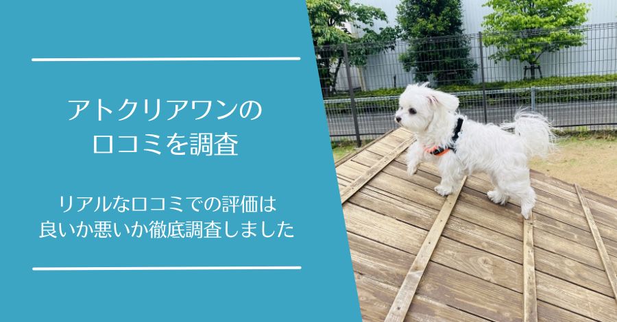 アトクリアワンの口コミ