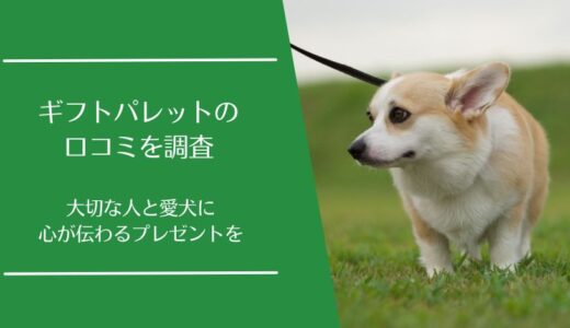 犬専用カタログギフト「ギフトパレット」の口コミを徹底調査！愛犬家が喜ぶプレゼント