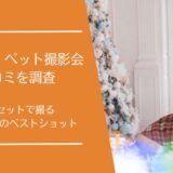 フォトレコ ペット撮影会の口コミを徹底調査！プロの撮影が無料で受けられると評判
