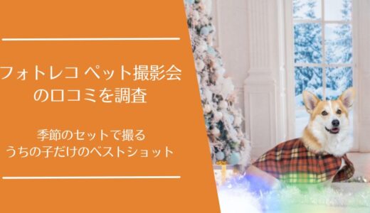 フォトレコ ペット撮影会の口コミを徹底調査！プロの撮影が無料で受けられると評判
