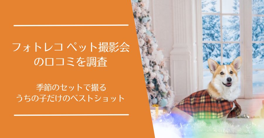 フォトレコ ペット撮影会の口コミ